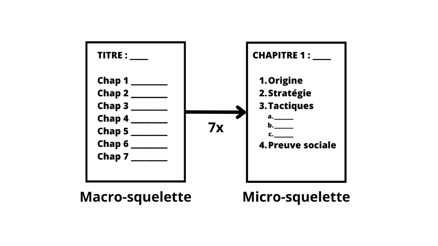 Du macro-squelette au micro-squelette